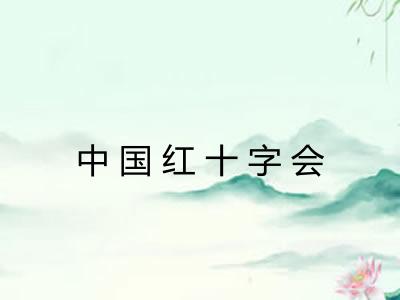 中国红十字会 中国红十字会
