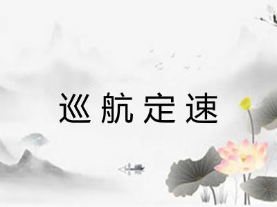 巡航定速 巡航定速