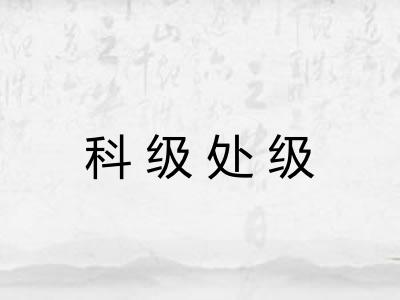 科级处级 科级处级