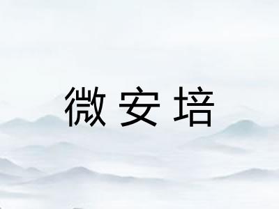 微安培