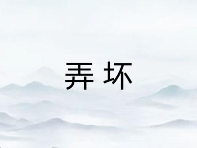 弄坏
