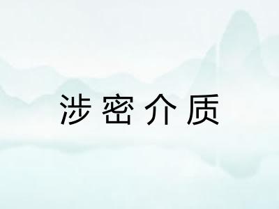 涉密介质 涉密介质