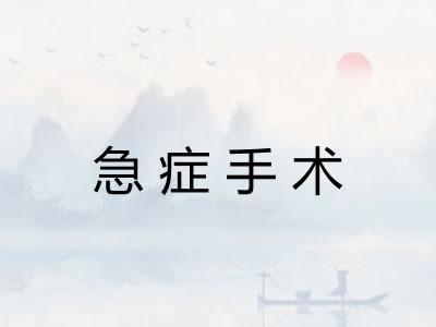 急症手术 急症手术