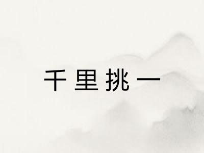 千里挑一 千里挑一