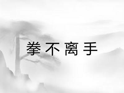 拳不离手 拳不离手