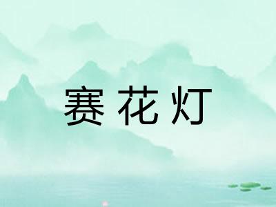 赛花灯 赛花灯