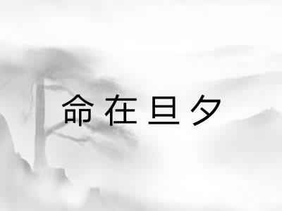 命在旦夕 命在旦夕