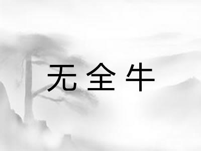 无全牛