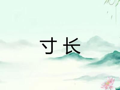 寸长 寸长