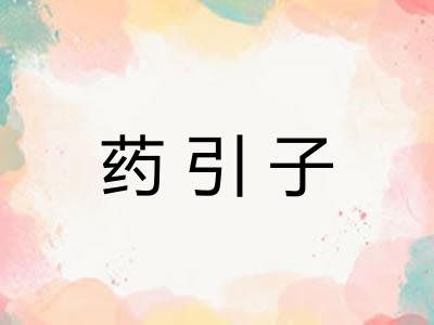 药引子 药引子