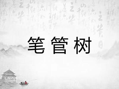 笔管树