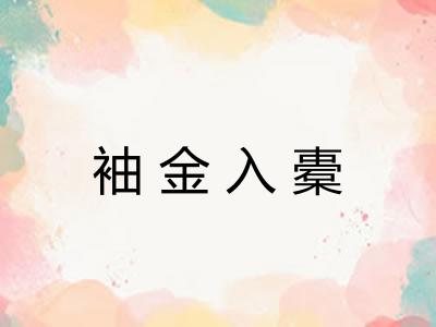 袖金入橐 袖金入橐