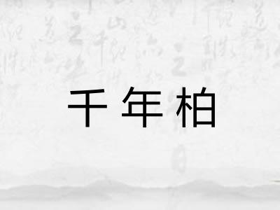 千年柏