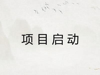 项目启动