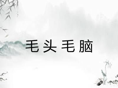 毛头毛脑 毛头毛脑