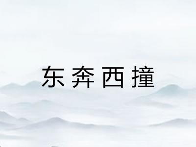 东奔西撞 东奔西撞