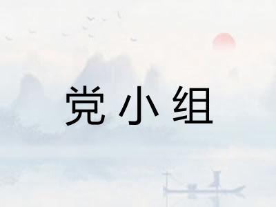 党小组