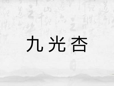 九光杏 九光杏
