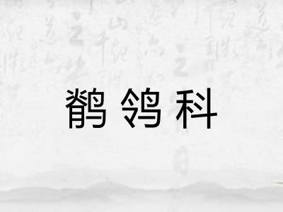 鹡鸰科 鹡鸰科