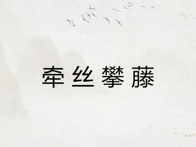 牵丝攀藤 牵丝攀藤