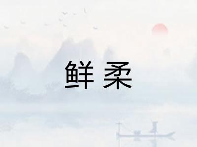 鲜柔 鲜柔