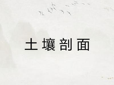 土壤剖面 土壤剖面