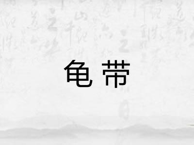 龟带