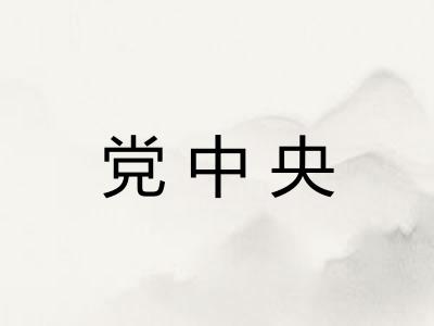 党中央 党中央