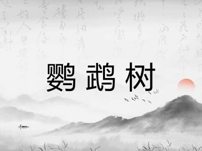 鹦鹉树 鹦鹉树
