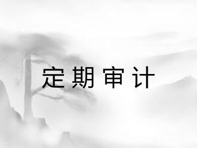 定期审计