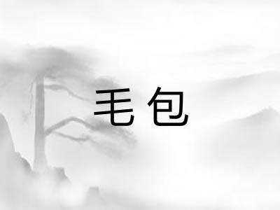 毛包 毛包