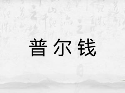 普尔钱