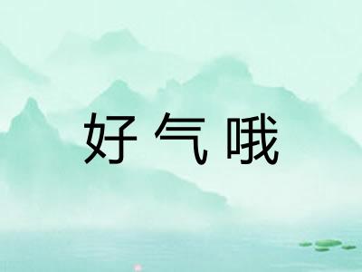 好气哦
