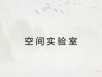 空间实验室 空间实验室