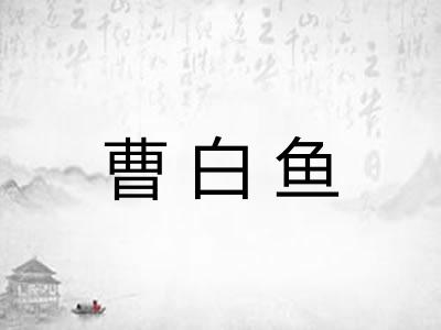 曹白鱼