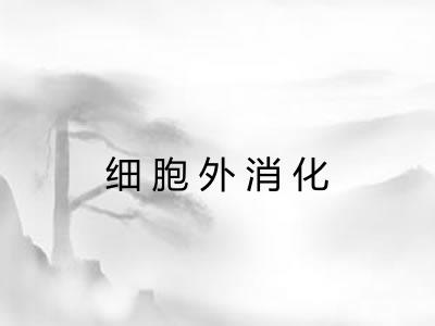 细胞外消化 细胞外消化