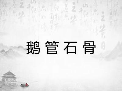 鹅管石骨