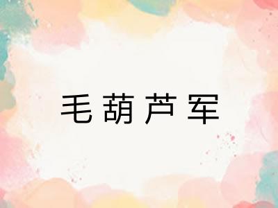 毛葫芦军 毛葫芦军