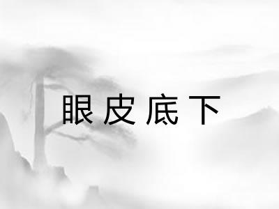 眼皮底下 眼皮底下