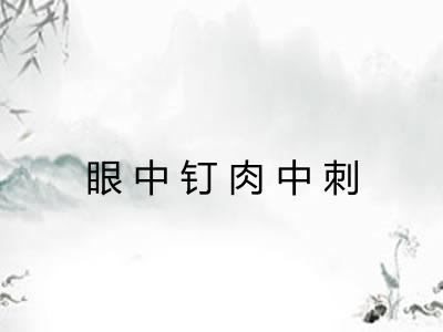 眼中钉肉中刺 眼中钉肉中刺