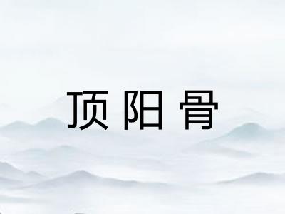 顶阳骨 顶阳骨