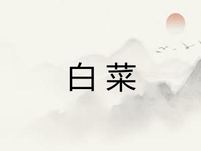 白菜 白菜
