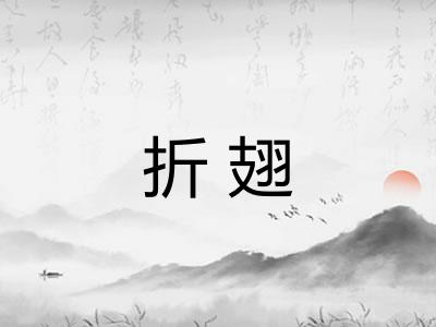 折翅 折翅