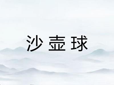 沙壶球