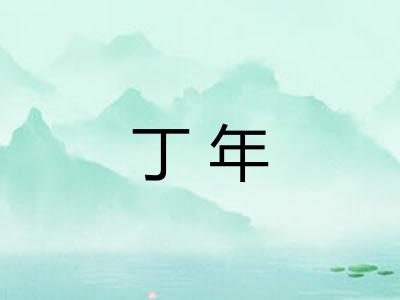 丁年 丁年
