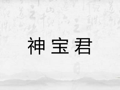 神宝君