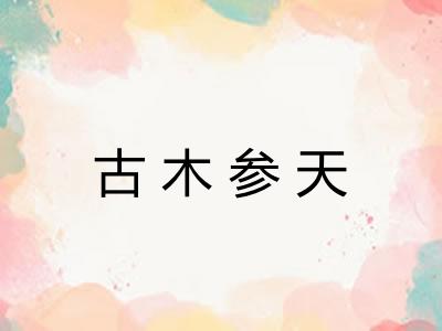 古木参天 古木参天