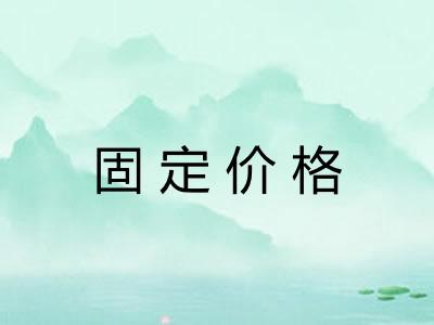 固定价格