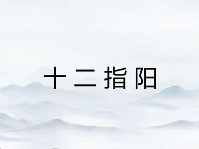 十二指阳 十二指阳