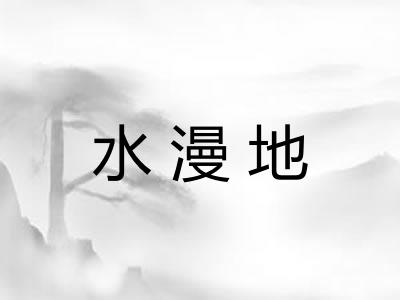 水漫地